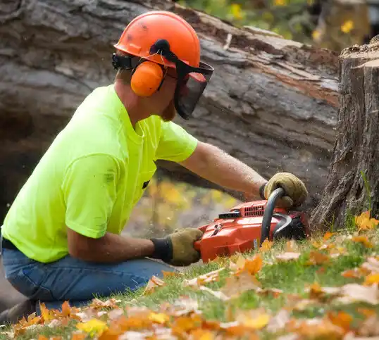 tree services Fostoria